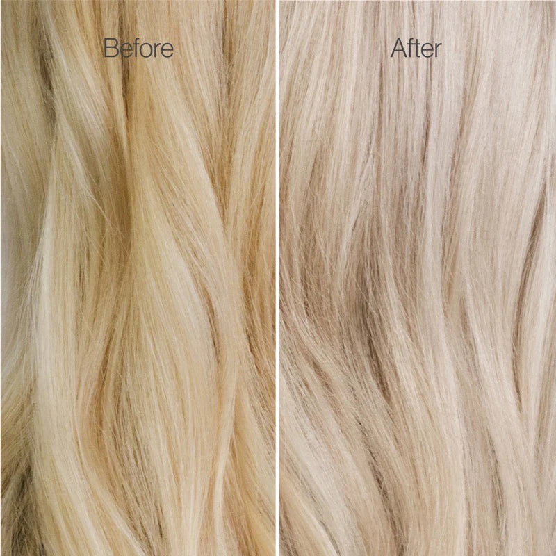 2053909__BLONDE_PRESERVE_SHAMPOO_SALLY_FREEWILL_Frame_440_EXP1AUG2025.webp