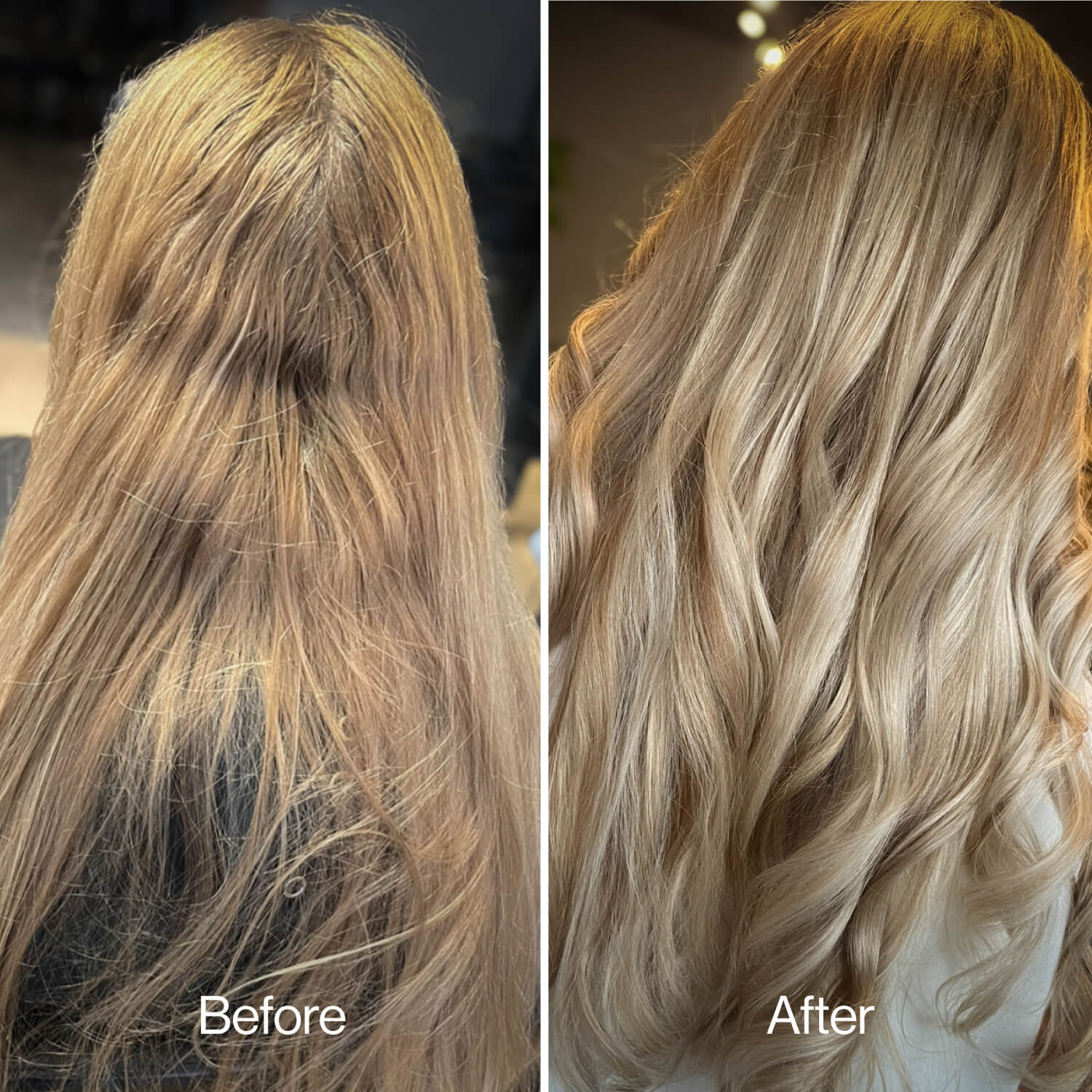 Blonde Preserve Conditioner Special