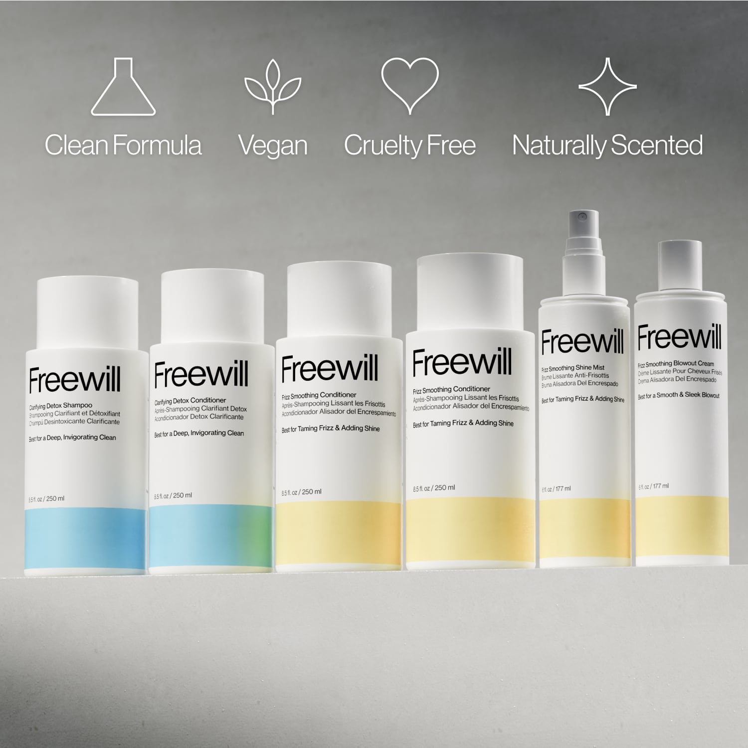 Frizz-Free Perfection Routine