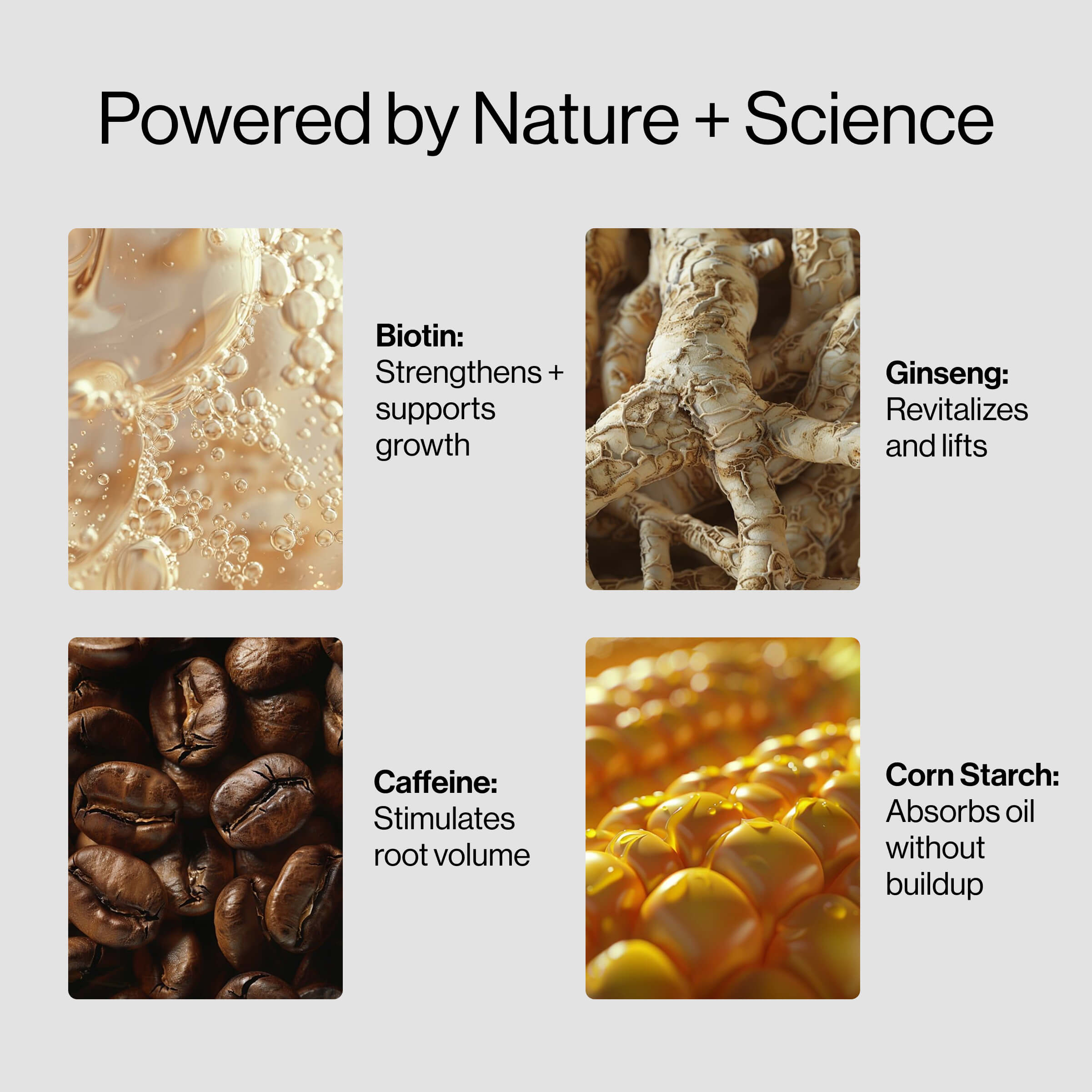 #1 Instant Volume Lift Hair Kit