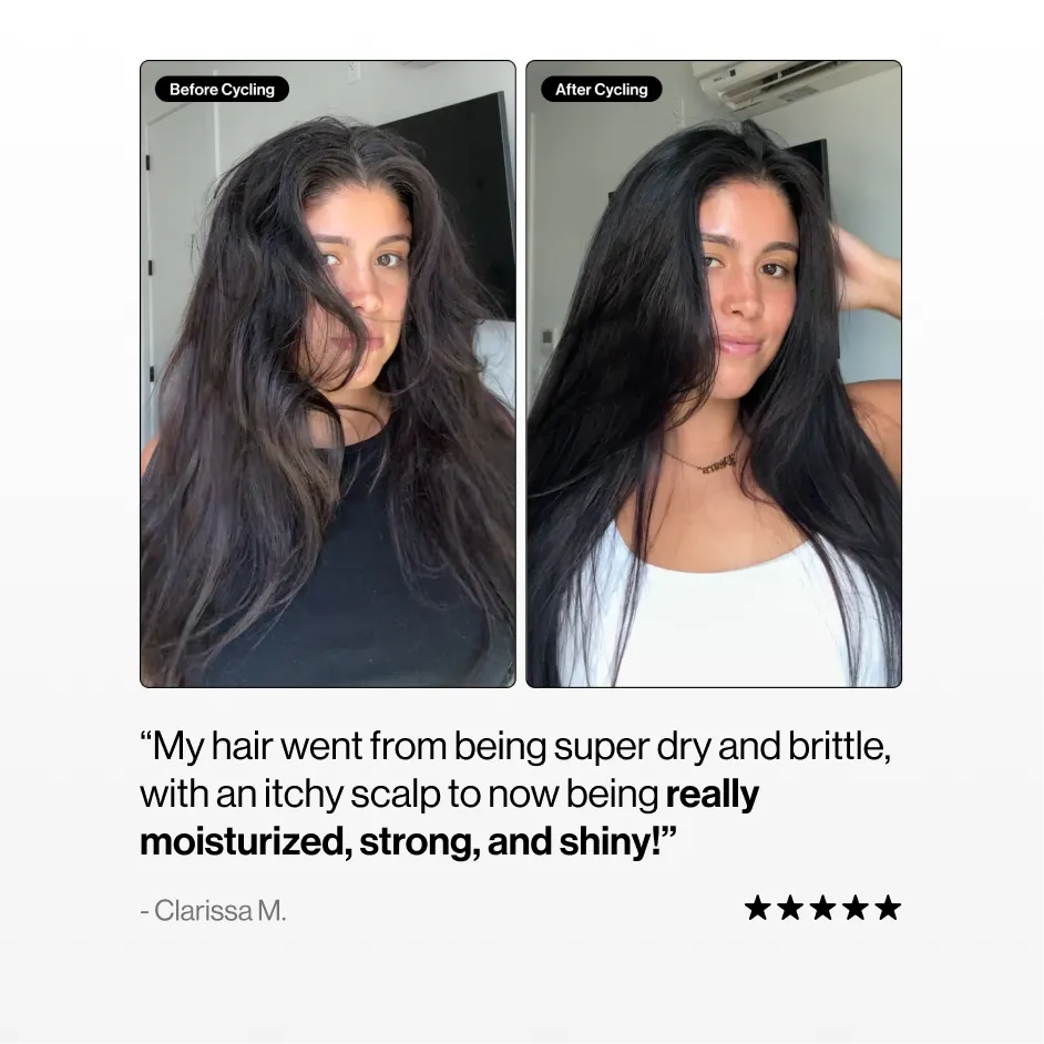 A single green leaf against a white background.